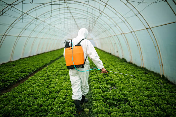 Professional Pest Control in Caseyville, IL