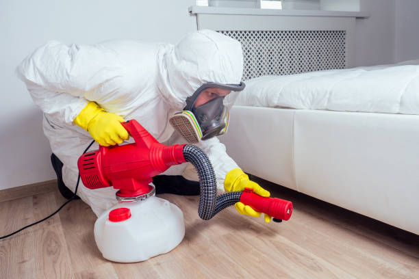Best Wasp Removal Services  in Caseyvle, IL