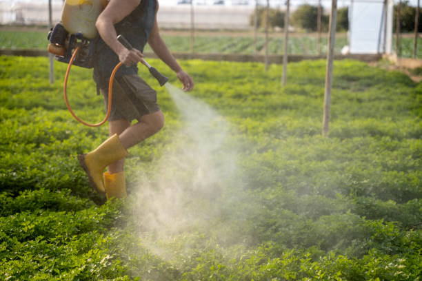 Pest Prevention Services in Caseyville, IL