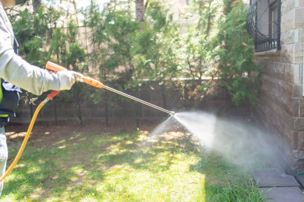 Best Mosquito Control Services  in Caseyvle, IL
