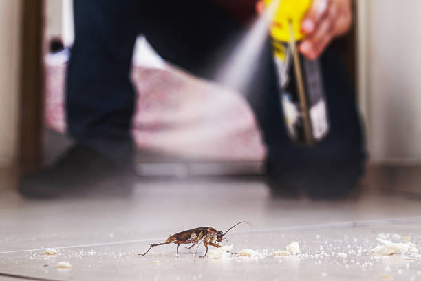 Best Commercial Pest Control Services  in Caseyvle, IL