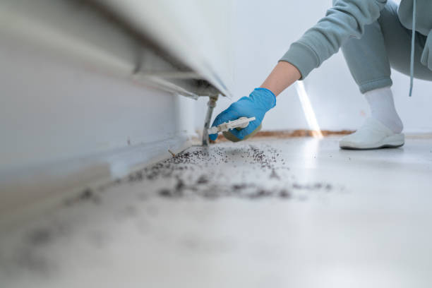 Best Wildlife Control Services  in Caseyvle, IL